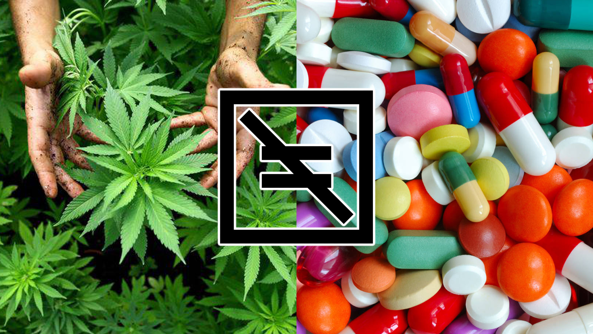 Droga: nasce nociva o l’hanno resa tale?