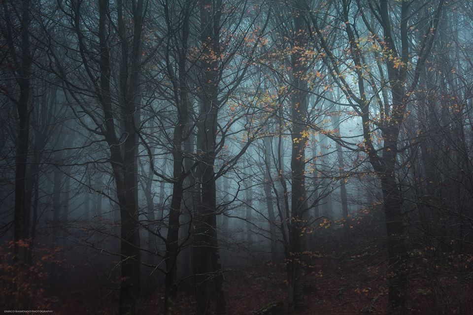 Nebbia: suggestione nella fotografia