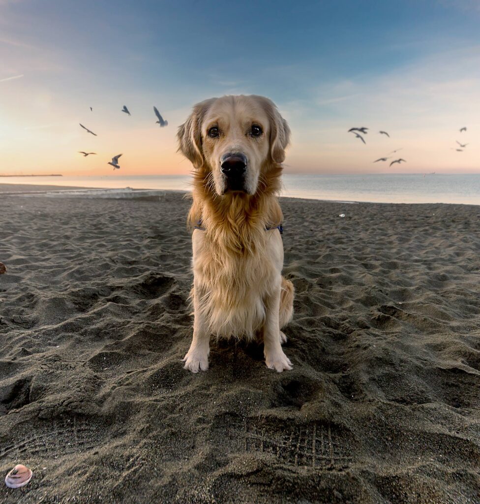 Tecnica fotografica: alcuni consigli per fotografare in spiaggia