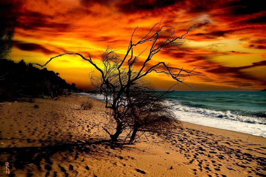 Tecnica fotografica: alcuni consigli per fotografare in spiaggia