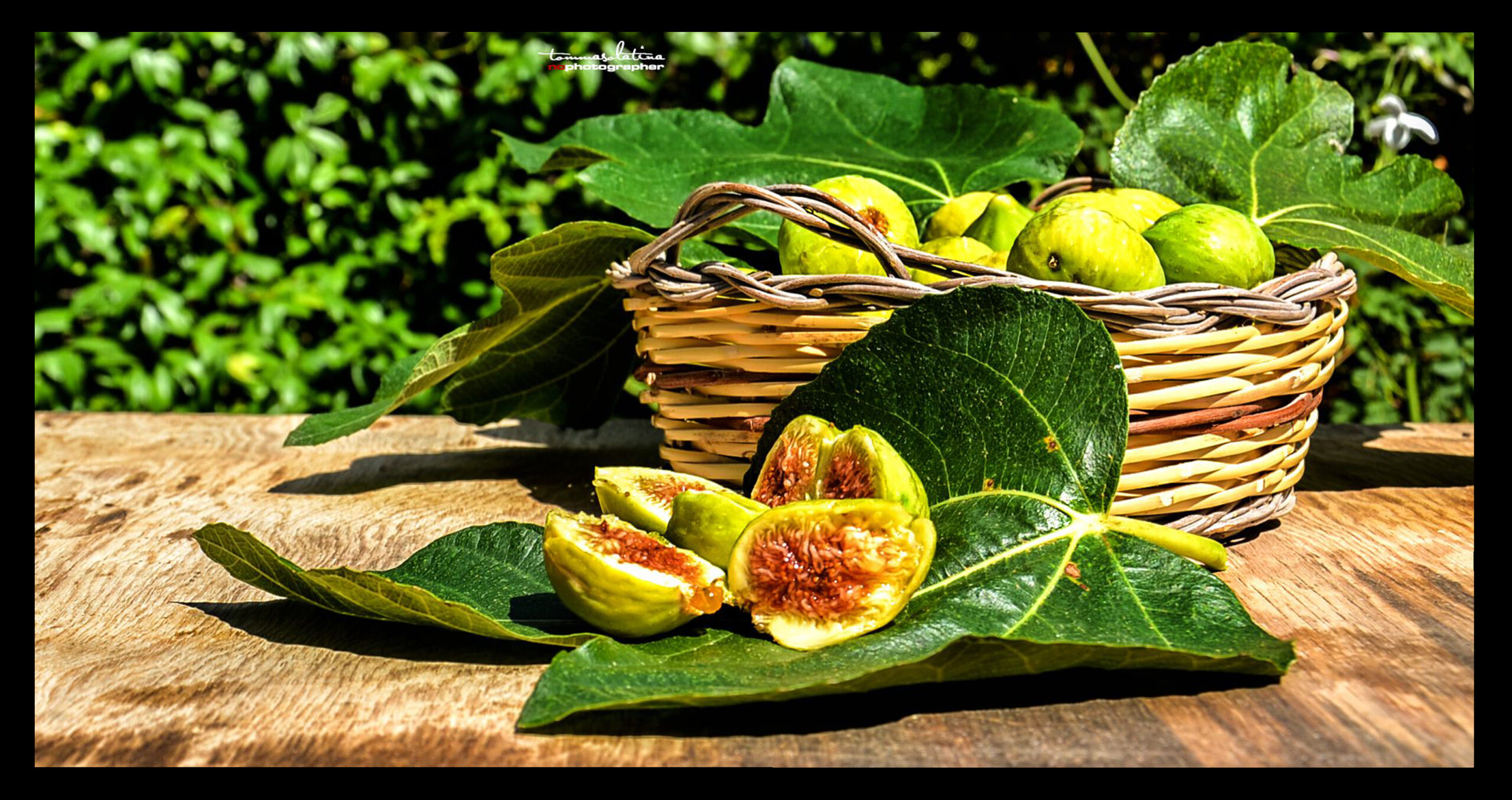 Ficus carica: il frutto simbolo dell’abbondanza e della fertilità